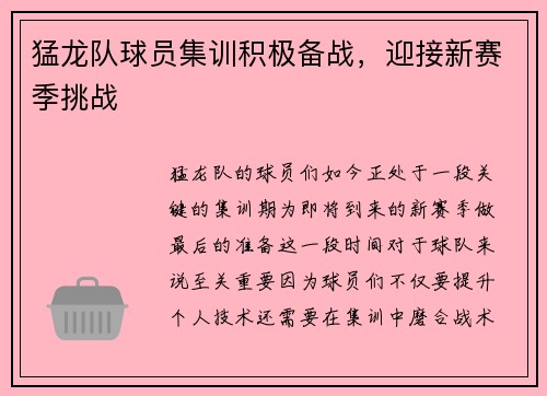 猛龙队球员集训积极备战，迎接新赛季挑战